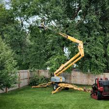 Best Artificial Turf Installation  in Redan, GA