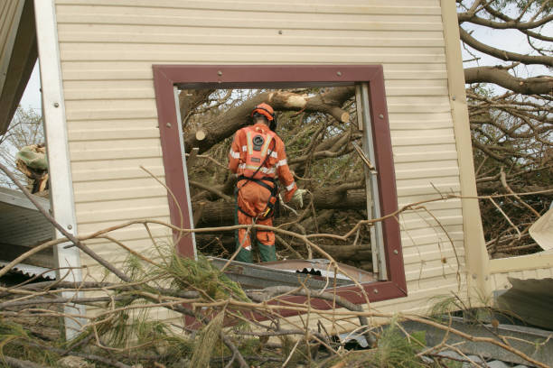 Best Hazardous Tree Removal  in Redan, GA