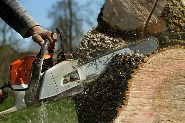 Best Lawn Maintenance Plans  in Redan, GA